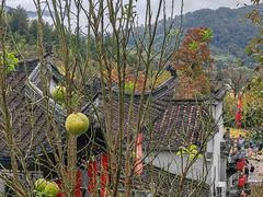 -塔川景区
