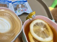 柠檬红茶-逗柴咖啡屋·狗咖猫咖宠物桌游