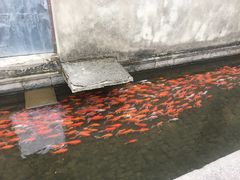 -前童古镇