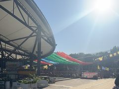 -移动谜城·大笨象密室逃脱(五棵松店)