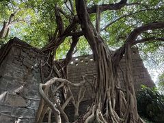 -磁器口古镇