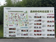 -黄海国家森林公园