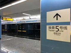 -大龙山(地铁站)