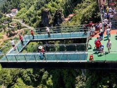 -梦幻奥陶纪景区