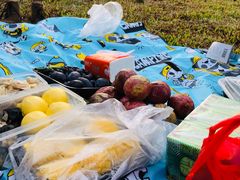 -南国桃园旅游度假区