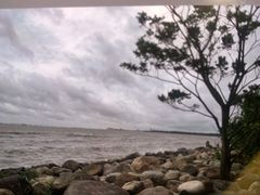 -上海吴淞炮台湾国家湿地公园