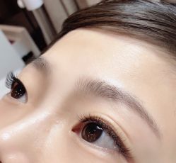 -BELLAREAL新美社