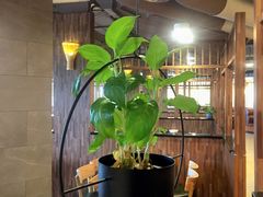 -美洲岛烤肉自助餐厅