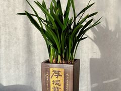 -粤悦满·顺德菜·原顺峰(阜成店)