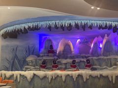 -帝企鹅自助餐厅•儿童岛•真企鹅(长隆企鹅酒店)