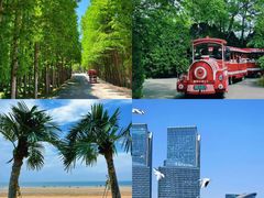 -日照世帆赛基地