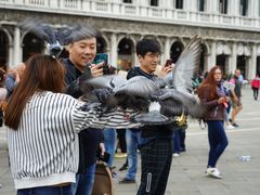 -圣马尔谷圣殿宗主教座堂