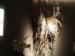 -安屿an·spa(卓悦中心商场店)