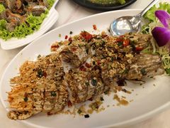 -光海鲜鱼翅餐厅(叻差拉披色路店)