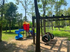 -上海海湾国家森林公园