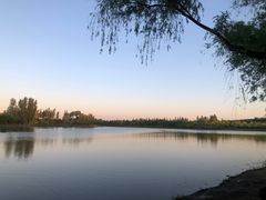 -东郊湿地公园