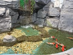 -嘉兴海底世界