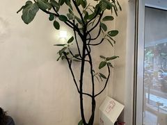-小团圆糖水铺(襄阳南路店)
