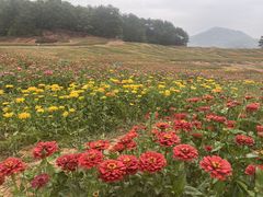 -翠屏湖景区