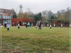 -洪湖家庭农场·团建·露营·会议