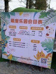 -前小桔亲子创意农场·草莓采摘·露营烧烤