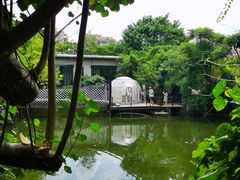 -大树头森林餐厅(番禺广场店)