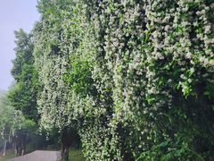 -敬亭山风景名胜区