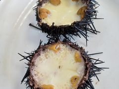 海胆蒸鸡蛋-抹直口特色菜馆(一店)