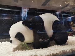 -红辣椒·川菜·火锅(大洋中心店)