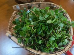 -岳记兴隆·青城腊排铜火锅(融创店)
