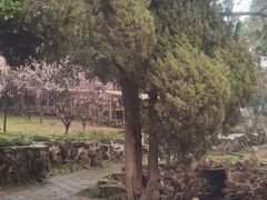-无锡梅园公园