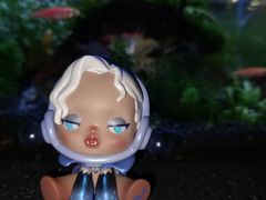-泡泡玛特POPMART(天环购物中心店)