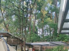 -宅里香.自然餐厅(湘大店)