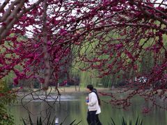 -东华大学(松江校区)