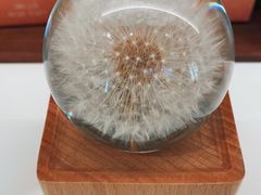 -银川河东国际机场