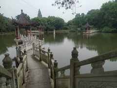 -青龙山国家森林公园