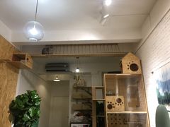 -拾壹cafe·工作室