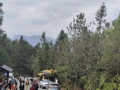 -梭布垭石林景区