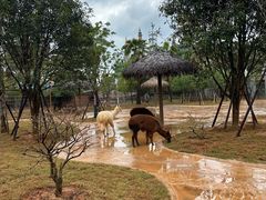 -福州罗源湾海洋世界旅游区