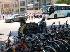 -协和双语学校(虹桥校区)