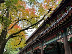 -灵谷景区