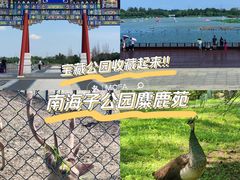 -南海子公园