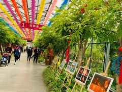 -南宫五洲植物乐园