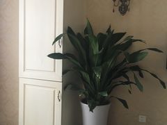 -都悦君豪足浴推拿(华府大道店)