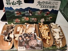 -芸山季·云南山珍菌火锅(南翔印象城MEGA店)