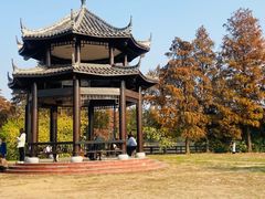 -东湖落雁景区