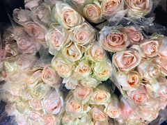 -循礼门鲜花花市(武汉循礼门店)