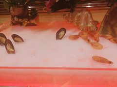 -萧邦音乐会所KTV·蒸汽活海鲜自助(福田店)