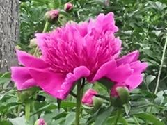 -合肥三国新城遗址公园