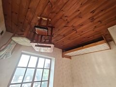 -金山农民画村-枫泾波兰倒置屋